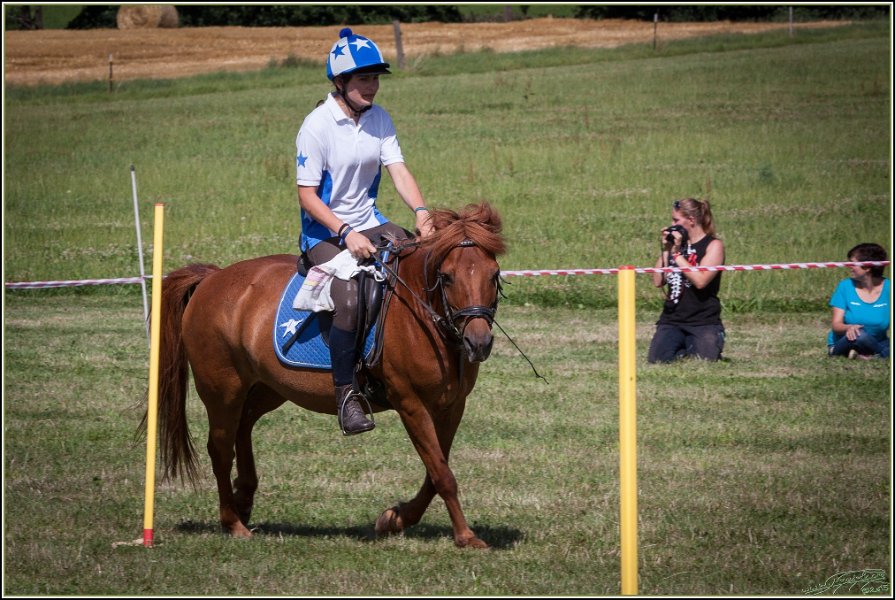 Mounted Games 274